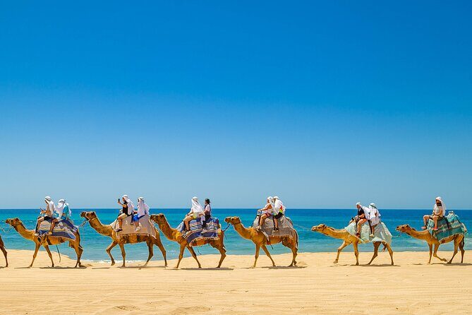ATV & Camel Ride Tour on Migriño Beach - Authenticity and the Overall Experience