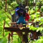 Atv Cancun (cenote, Ziplines, Lunch And Transfer Included) - The Good and the Not-So-Good