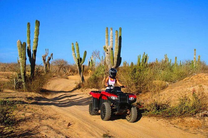 ATV Desert Adventure Tour in Los Cabos - Whats Included and Whats Not