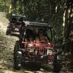 Atv drive and cenote tour!! - The Experience: What You’ll Really Find