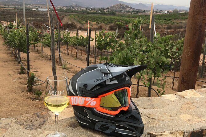 ATV Off-Road Adventure through Valle de Guadalupe + Winery Visit - Lunch and Additional Costs