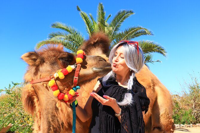 ATV Tour, Camel Ride, Tequila Tasting and Mexican Buffet Lunch - ATV Desert Ride: Power and Panoramas