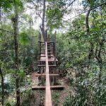 ATV Tour in Playa del Carmen with Zip Lines - What You Can Expect From the Tour