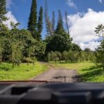 ATV Tour to Buddha Cup Coffee Farm - An In-Depth Look at the ATV Tour to Buddha Cup Coffee Farm