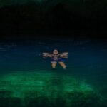 ATV Tour, Ziplines, Mayan Cenote, Tacos, Tequila and Transport - Cooling Off in the Cenote