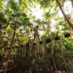 ATV, Zipline and Cenote at Extreme Adventuring with Tulum Pickup - The Value and Practicalities