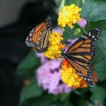 Audubon Zoo, Aquarium, and Insectarium Combo Ticket - The Experience Breakdown: What to Expect at Each Stop