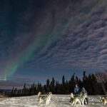 Aurora Activity at Sluice Box Sled Dogs - Who Will Love This Tour?