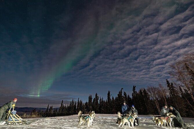 Aurora Activity at Sluice Box Sled Dogs - Who Will Love This Tour?