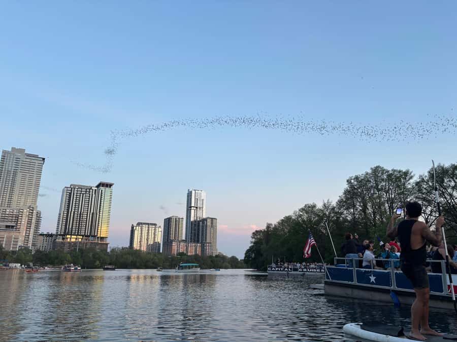 Austin: Bat Bridge Sunset Kayak Tour - Who Should Book This Tour?