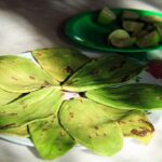 Authentic Rural Mexican Experience Adventure - What Makes This Tour Special?