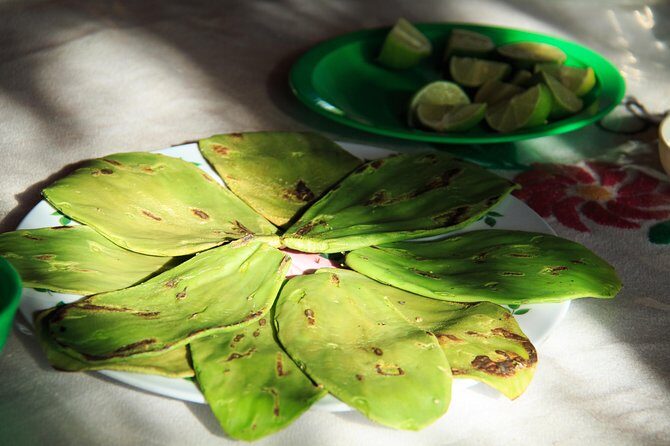 Authentic Rural Mexican Experience Adventure - What Makes This Tour Special?