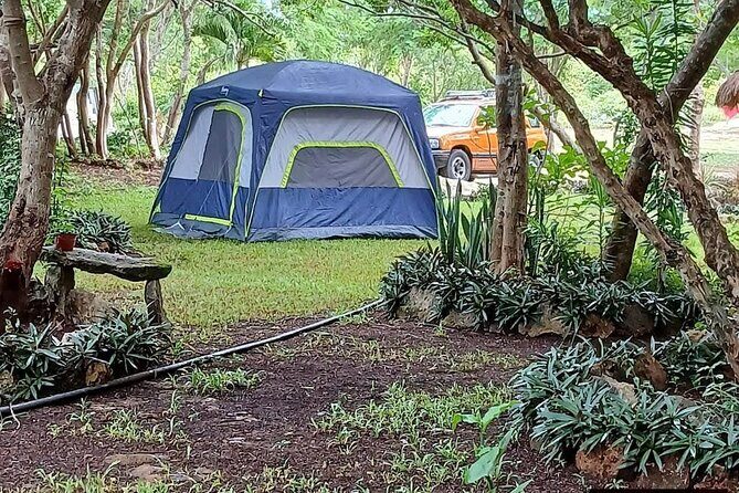 Authentic Yucatán Expedition Homun Cenotes & Local Villages - Why Choose This Tour?