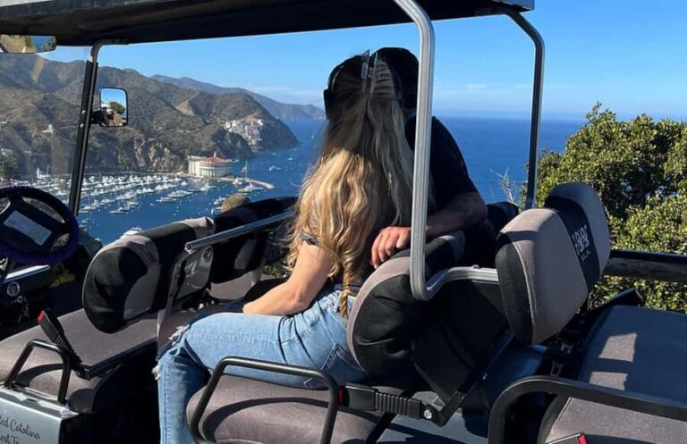 Avalon: Haunted Golf Cart Tour - Practical Details & Tips for Visitors