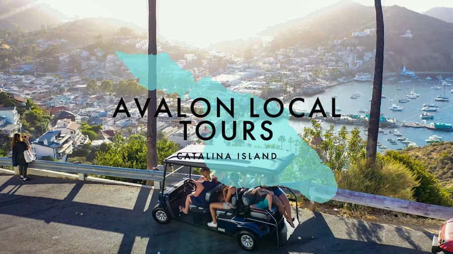 Avalon: Private Golf Cart Tour with Driver-Guide - The Itinerary: What to Expect