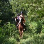Award-winning Private Classic Horseback Ride - Practical Details: What You Need to Know
