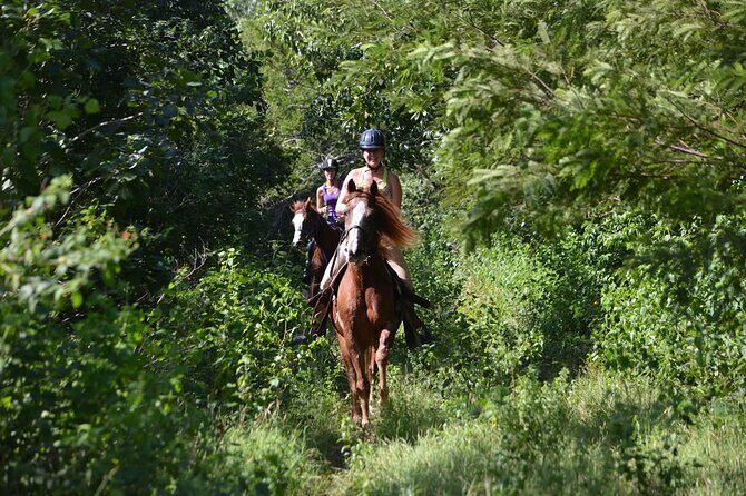 Award-winning Private Classic Horseback Ride - Practical Details: What You Need to Know