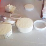 Baby sea turtles camp - Who Will Enjoy This Tour?