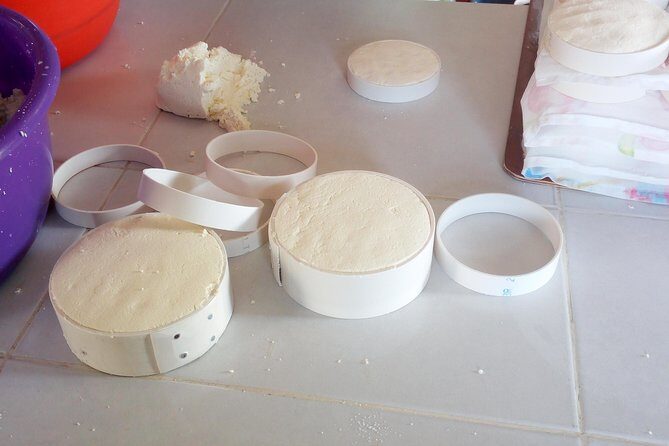 Baby sea turtles camp - Who Will Enjoy This Tour?