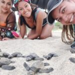 Baby Turtle Release - What to Expect and How to Prepare