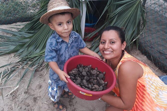 Baby Turtle Release in Coyote Escobilla Beach - The Journey from Huatulco to Coyote Escobilla