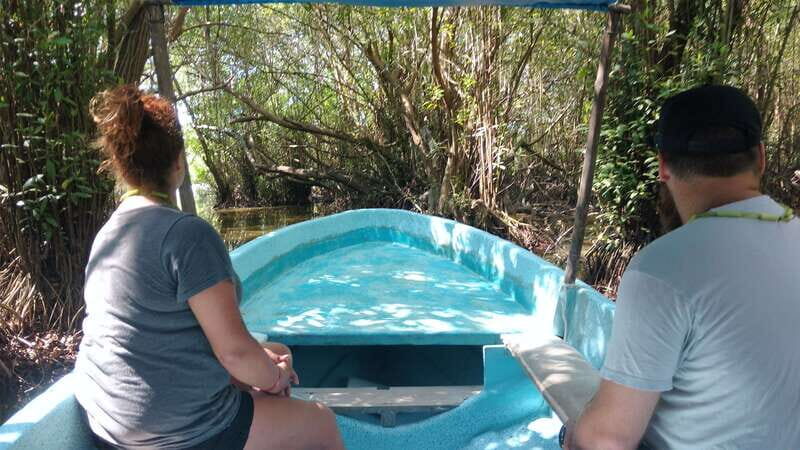 .Baby Turtle Release, Lagoon Boat Ride, and Crocodile Farm - The Value of the Tour