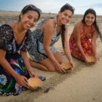Baby Turtle Release Tour + Pick up + Courtesy in Puerto Escondido! - The Itinerary: Step-by-Step