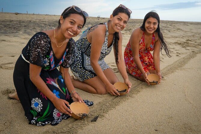 Baby Turtle Release Tour + Pick up + Courtesy in Puerto Escondido! - The Itinerary: Step-by-Step