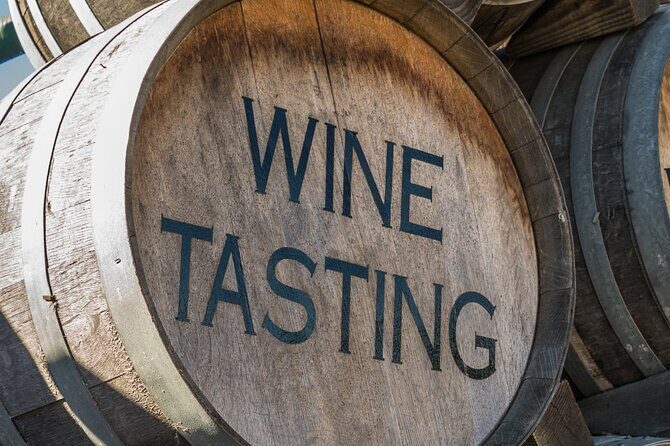 Bainbridge Island Discovery and Wine Tour - Who Is This Tour Best For?