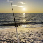 Baja: Adventure Shore Fishing - Explore La Ventana on ATV - Who Will Love This Tour?