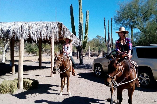 Baja Desert Horseback Riding Tour - The Practicalities: What You Need to Know