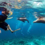 Balandra Bay Snorkeling Adventure - What’s the Value for Travelers?