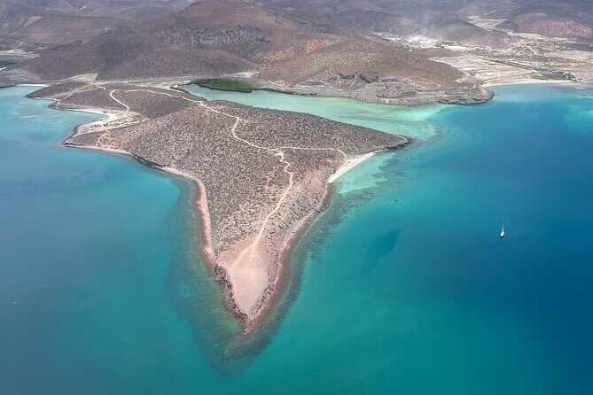 Balandra Beach and Sea Lions Private Tour - Final Thoughts: Who is This Tour Best For?