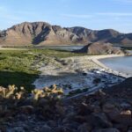 Balandra Beach Bliss Your Baja Day Adventure from Cabo - Practical Details and Considerations