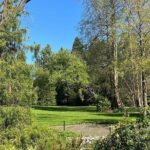 Ballard Locks Walking Activity Seattle - The Itinerary and What to Expect