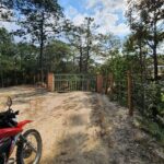 Banderas Jeep Tour - Whats Included and What to Consider