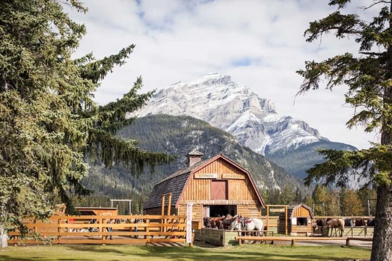 Banff: 3-Hour Bow Valley Loop Horseback Ride - Who Will Love This Experience?