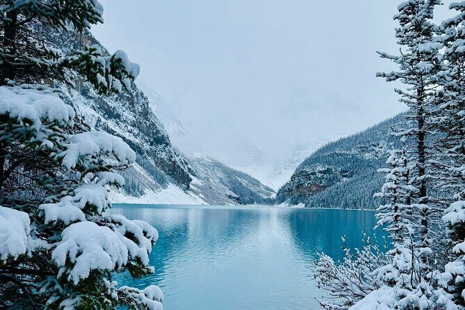 Banff and Yoho Rocky Mountain Discovery Day Tour from Calgary - The Value of the Experience