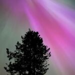 Banff/Canmore Night Sky: Stargazing and Chasing Northern Lights - Why This Tour Works