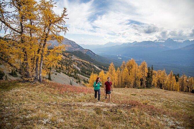 Banff Canmore Private Adventure Moraine Lake and Lake Louise Tour - Transportation: Comfort and Convenience