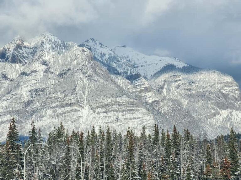 Banff Canmore: Wildlife Focused Guided Snowshoeing Adventure - The Sum Up