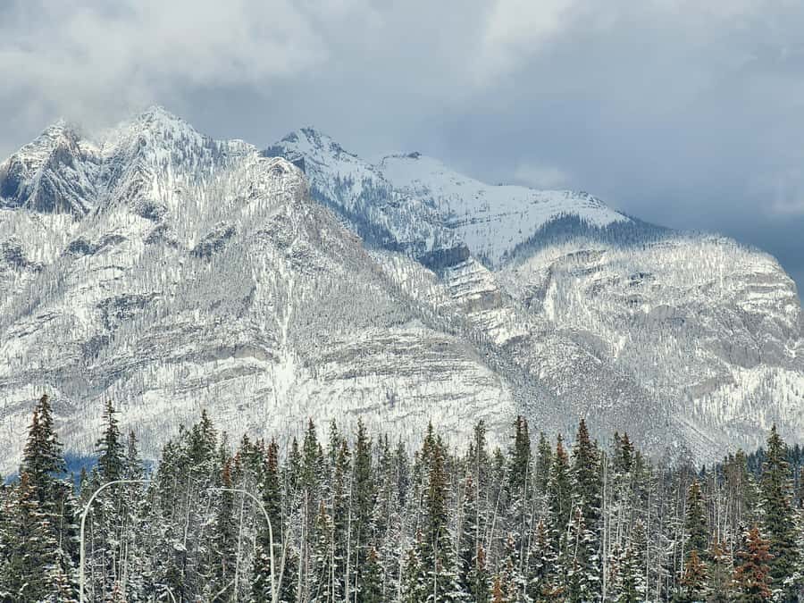 Banff Canmore: Wildlife Focused Guided Snowshoeing Adventure - The Sum Up