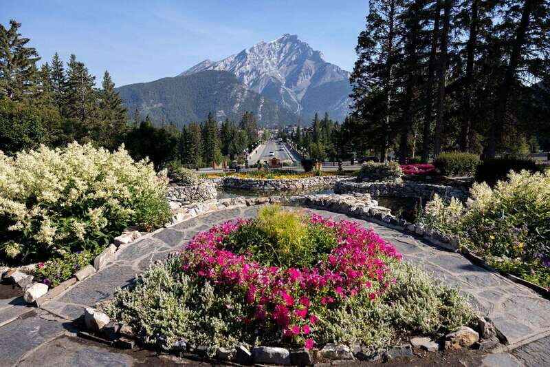 Banff: Edible and Medicinal Plants Nature Walk - What to Expect from the Tour
