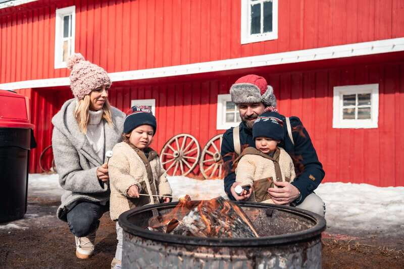 Banff: Family Friendly Horse-Drawn Sleigh Ride - Authentic Experiences and Traveler Insights