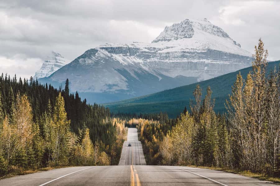 Banff: Full Day Guided Sightseeing, Lakes and Nature Tour - Why This Tour Offers Good Value