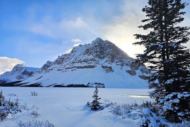 Banff, Icefield Pkwy Full Day Winter Wonderland Private Tour - Final Thoughts: The Value and Who Will Love It