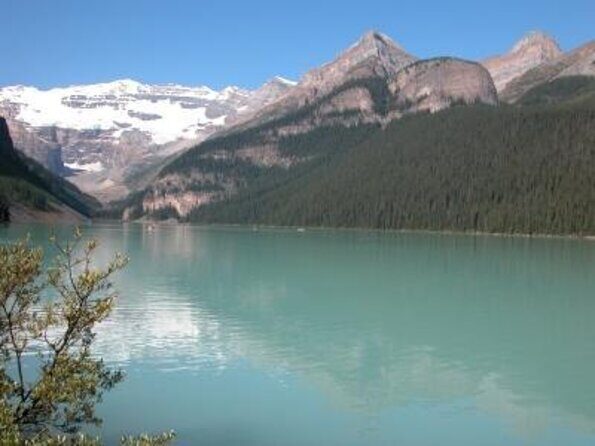 Banff, Lake Louise & Johnston Canyon | Winter Wonderland Tour - Transportation & Group Dynamics