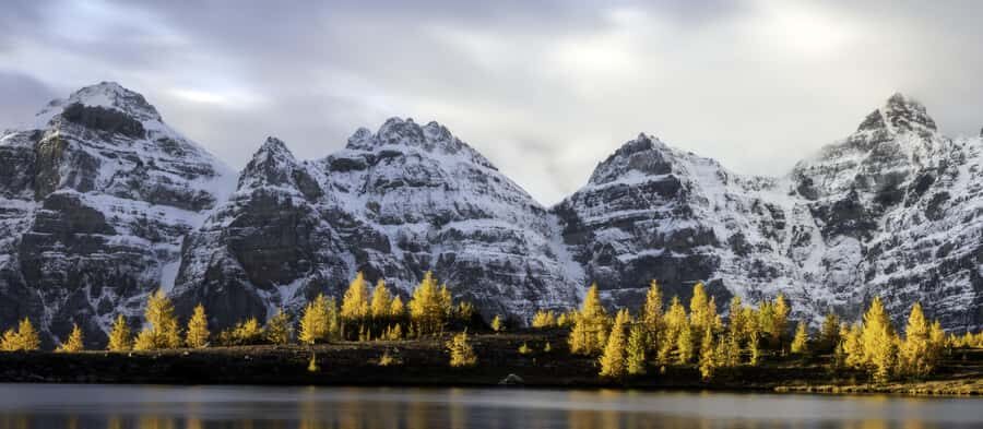 Banff: Larch Valley Guided Hike with Lunch & Transfers - How to Maximize Your Day