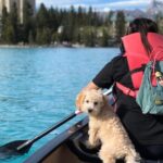 Banff Moraine Lake Louise Shuttle | Seat On Sale for Limited Time - Authentic Perspectives from Past Travelers