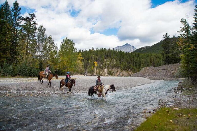Banff National Park: 1-Hour Spray River Horseback Ride - The Sum Up
